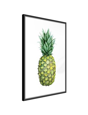 Poster  Unripe Pineapple